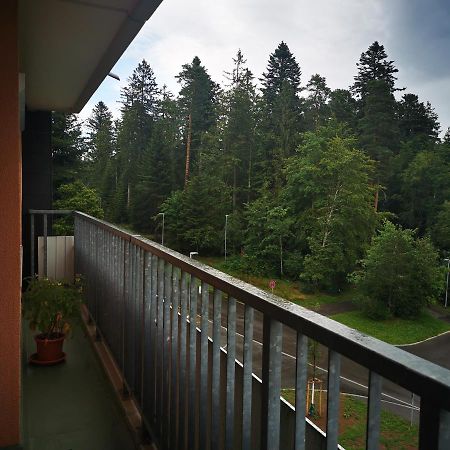 Mila Freudenstadt Kültér fotó