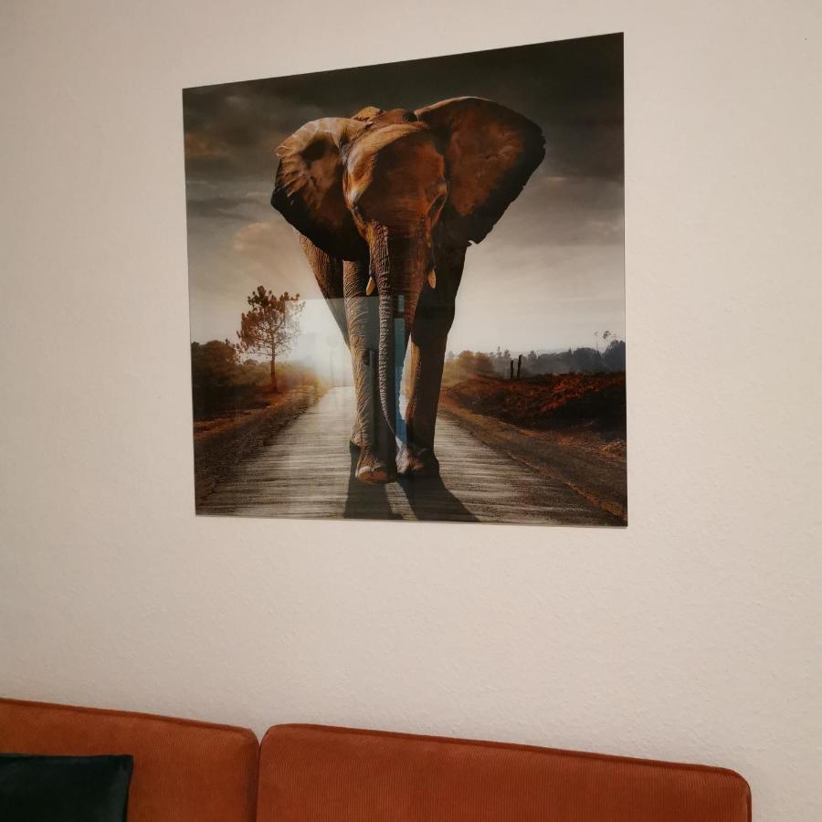 Mila Freudenstadt Kültér fotó