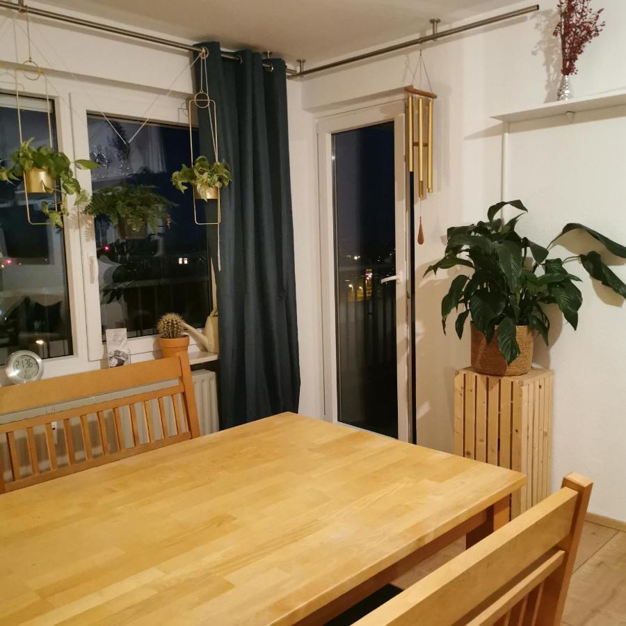 Mila Freudenstadt Kültér fotó